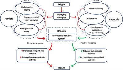 “Close your eyes and relax”: the role of hypnosis in reducing anxiety, and its implications for the prevention of cardiovascular diseases